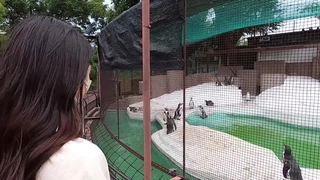 职业技校热恋中的小情侣周末校外开房爱爱年轻人精力旺盛体位多干的猛苗条美乳妹子娇喘个不停