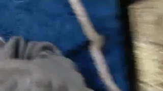 性感的Avery一次又一次地将Oliver带到高潮的边缘