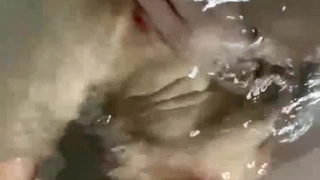粉嫩少女_十二月二号